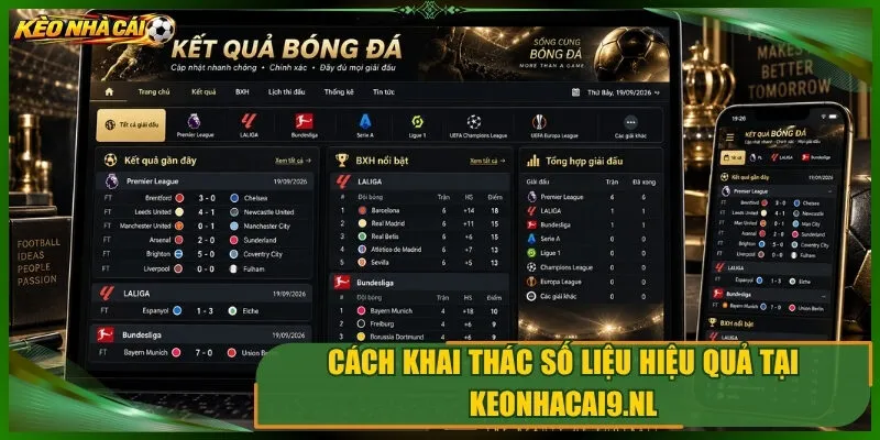 Cách khai thác số liệu hiệu quả tại codectl.io