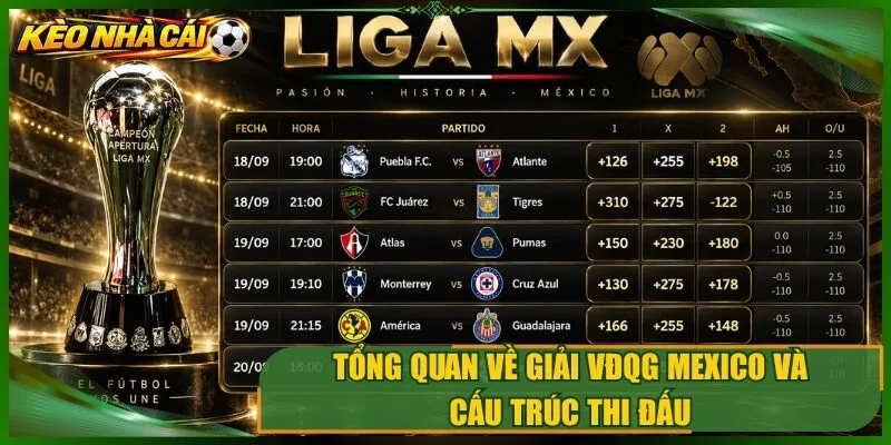 Tổng quan về giải vđqg mexico và cấu trúc thi đấu